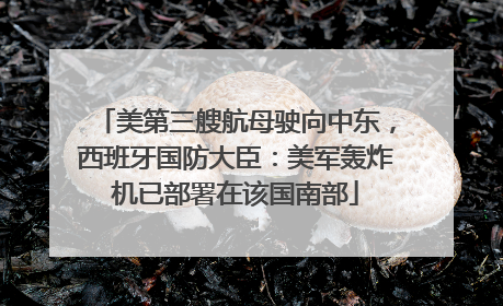 美第三艘航母驶向中东，西班牙国防大臣：美军轰炸机已部署在该国南部