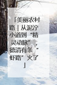美丽农村路｜从泥泞小道到“精灵动脉”，德清有条“虾路”火了