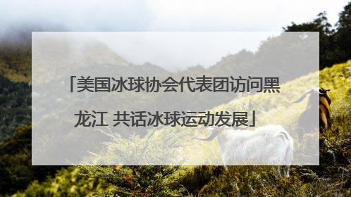 美国冰球协会代表团访问黑龙江 共话冰球运动发展