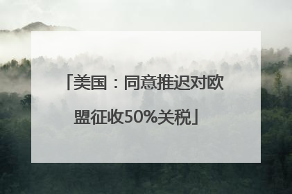 美国：同意推迟对欧盟征收50%关税