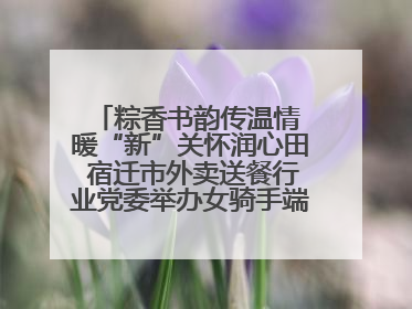 粽香书韵传温情 暖“新”关怀润心田 宿迁市外卖送餐行业党委举办女骑手端午主题活动