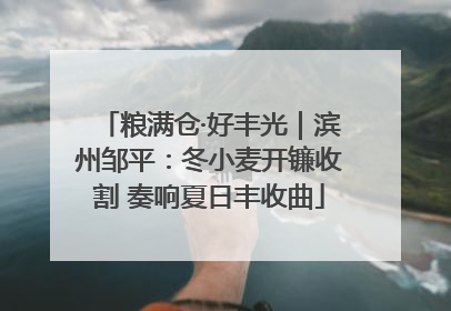 粮满仓·好丰光｜滨州邹平：冬小麦开镰收割 奏响夏日丰收曲