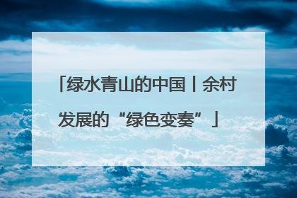 绿水青山的中国丨余村发展的“绿色变奏”