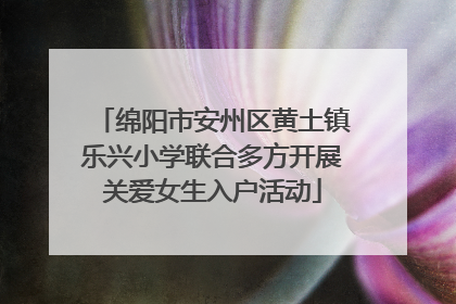 绵阳市安州区黄土镇乐兴小学联合多方开展关爱女生入户活动