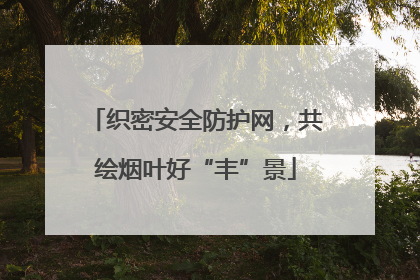 织密安全防护网，共绘烟叶好“丰”景