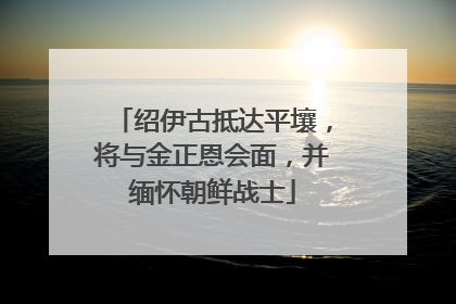 绍伊古抵达平壤，将与金正恩会面，并缅怀朝鲜战士