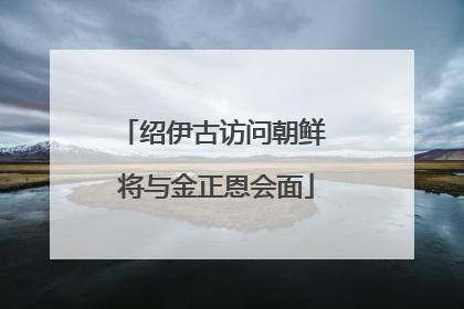 绍伊古访问朝鲜 将与金正恩会面