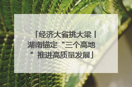 经济大省挑大梁丨湖南锚定“三个高地”推进高质量发展