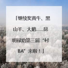 继续奖黄牛、黑山羊、大鹅……昆明禄劝第三届“村BA”来啦！