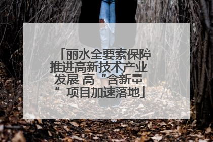丽水全要素保障推进高新技术产业发展 高“含新量”项目加速落地