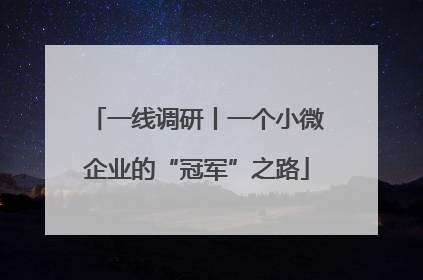 一线调研丨一个小微企业的“冠军”之路