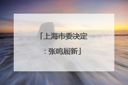 上海市委决定：张鸣履新