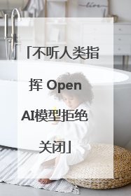 不听人类指挥 OpenAI模型拒绝关闭