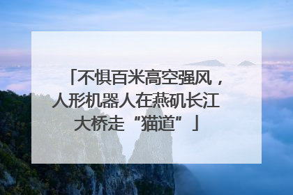 不惧百米高空强风，人形机器人在燕矶长江大桥走“猫道”