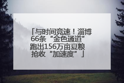 与时间竞速！淄博66条“金色通道”跑出156万亩夏粮抢收“加速度”