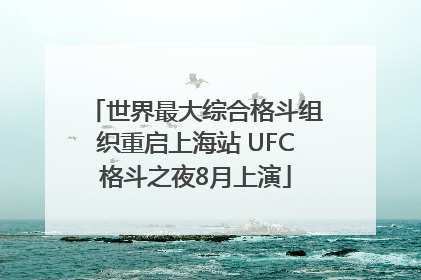 世界最大综合格斗组织重启上海站 UFC格斗之夜8月上演