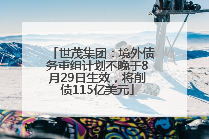 世茂集团：境外债务重组计划不晚于8月29日生效，将削债115亿美元