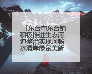 东台市东台镇积极推进生态河道整治实现河畅水清岸绿景美新愿景