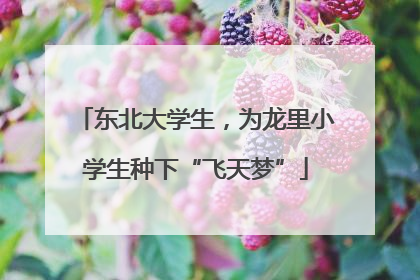 东北大学生，为龙里小学生种下“飞天梦”