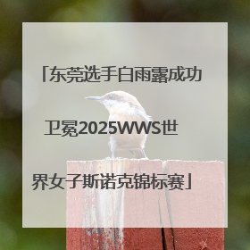 东莞选手白雨露成功卫冕2025WWS世界女子斯诺克锦标赛