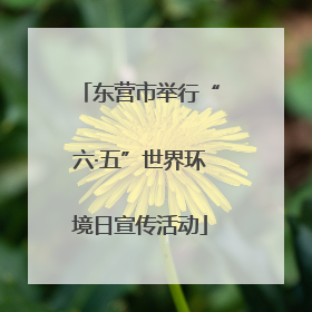 东营市举行“六·五”世界环境日宣传活动