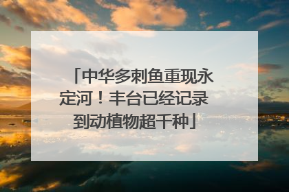 中华多刺鱼重现永定河！丰台已经记录到动植物超千种