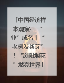 中国经济样本观察·一“业”成名丨“老树发新芽”！“浏阳烟花”燃亮世界
