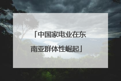 中国家电业在东南亚群体性崛起