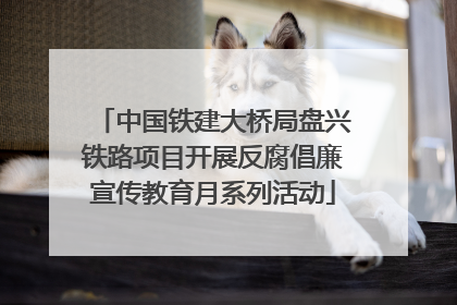 中国铁建大桥局盘兴铁路项目开展反腐倡廉宣传教育月系列活动