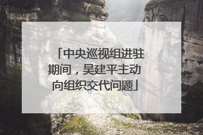 中央巡视组进驻期间，吴建平主动向组织交代问题