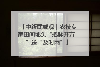 中新武威观｜农技专家田间地头“把脉开方”送“及时雨”