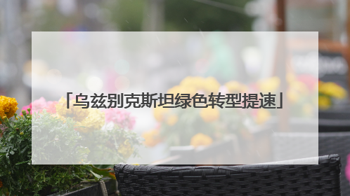 乌兹别克斯坦绿色转型提速