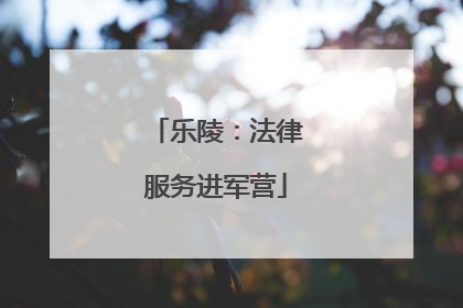 乐陵：法律服务进军营