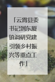 云霄县委书记到东厦镇调研党建引领乡村振兴等重点工作