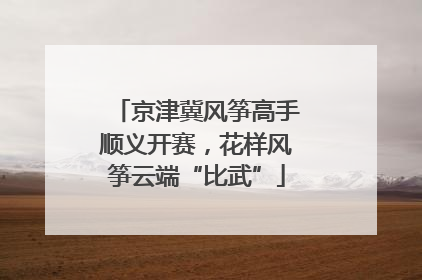 京津冀风筝高手顺义开赛，花样风筝云端“比武”