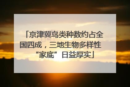 京津冀鸟类种数约占全国四成，三地生物多样性“家底”日益厚实