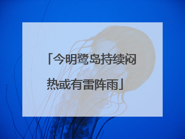今明鹭岛持续闷热或有雷阵雨
