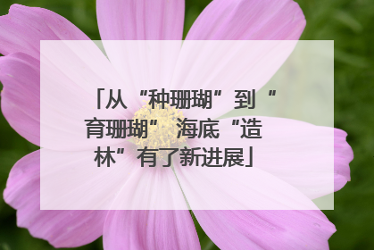 从“种珊瑚”到“育珊瑚” 海底“造林”有了新进展