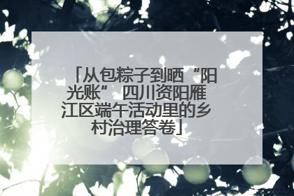 从包粽子到晒“阳光账” 四川资阳雁江区端午活动里的乡村治理答卷