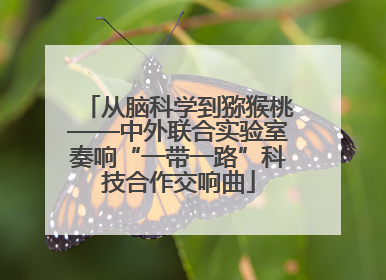 从脑科学到猕猴桃——中外联合实验室奏响“一带一路”科技合作交响曲