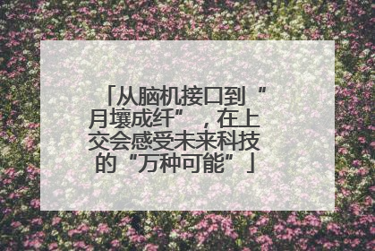 从脑机接口到“月壤成纤”，在上交会感受未来科技的“万种可能”