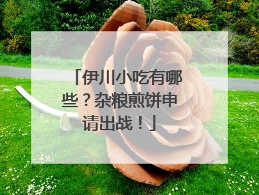 伊川小吃有哪些？杂粮煎饼申请出战！