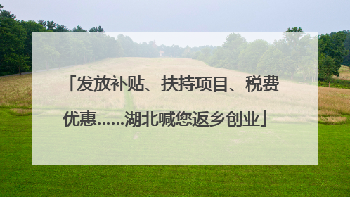 发放补贴、扶持项目、税费优惠……湖北喊您返乡创业