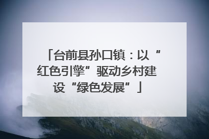 台前县孙口镇：以“红色引擎”驱动乡村建设“绿色发展”
