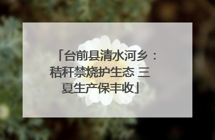 台前县清水河乡：秸秆禁烧护生态 三夏生产保丰收