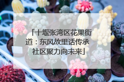 十堰张湾区花果街道：东风故里话传承 社区聚力向未来