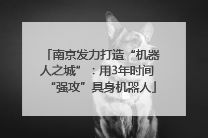 南京发力打造“机器人之城”：用3年时间“强攻”具身机器人