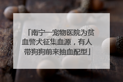 南宁一宠物医院为贫血警犬征集血源，有人带狗狗前来抽血配型