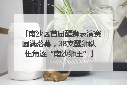 南沙区首届醒狮表演赛圆满落幕，38支醒狮队伍角逐“南沙狮王”