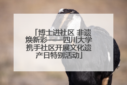 博士进社区 非遗焕新彩——四川大学携手社区开展文化遗产日特别活动